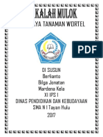 BUDIDAYA TANAMAN WORTEL