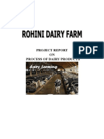 Process of Dairy Products Report