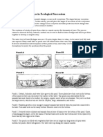 Examining The Stages in Ecological Succession