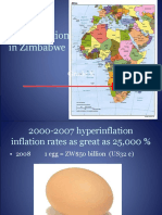 Hyperinflation in Zimbabwe: Grade X