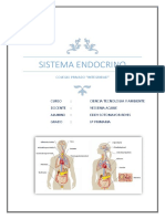 El Sistema Endocrino