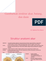 Gambarkan Struktur Akar, Batang, Dan Daun