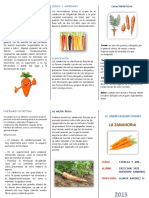 Las características y clasificación de los animales vertebrados