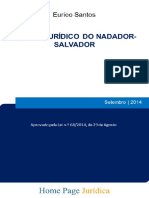 Regime Jurídico Do Nadador-salvador