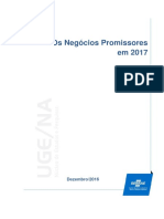 Os Negócios Promissores em 2017