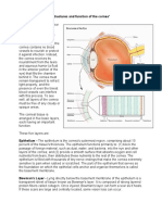 Structures and functions of the cornea