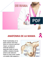 Radioterapia en Cancer de Mama