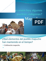 Cómo Viven Hoy Algunos Pueblos Indígenas Mapuches.