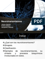 4_Neurotransmisores.pdf
