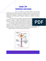 Biologia - Aula 20 - Sistema Nervoso.pdf