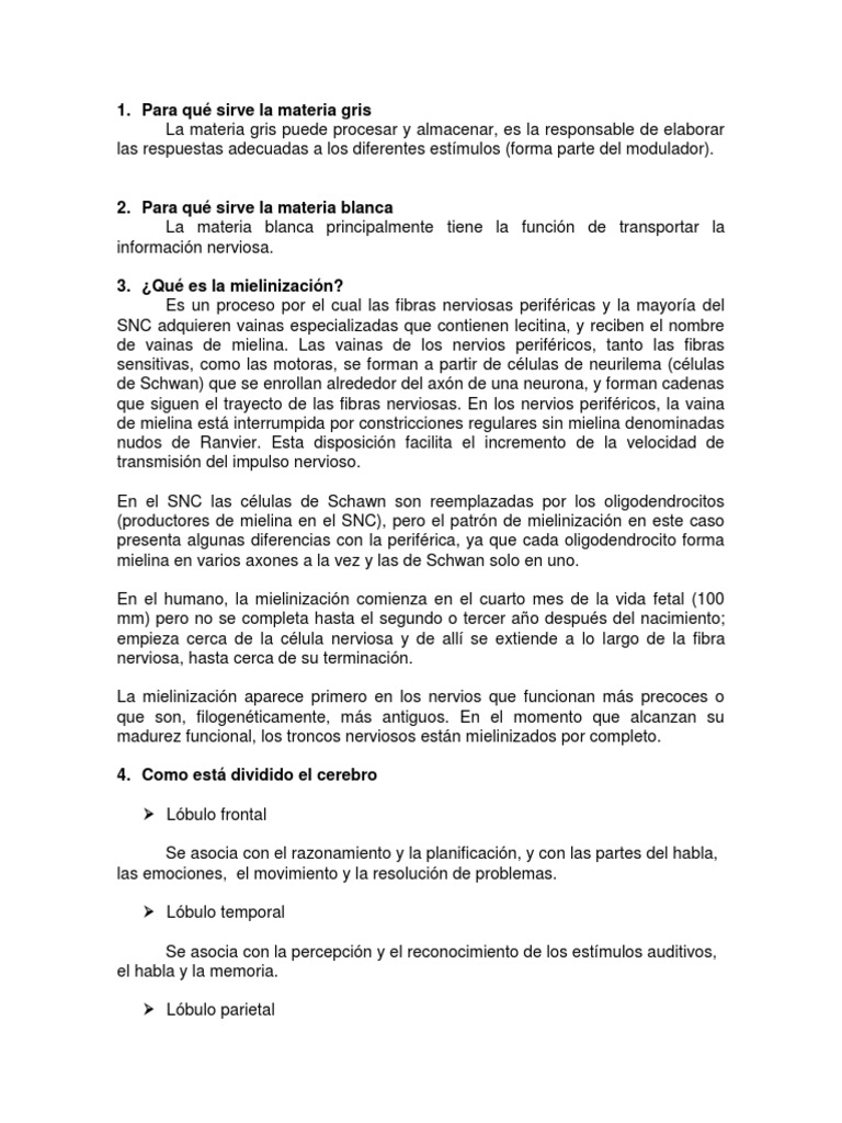 Para Qué Sirve La Materia Gris