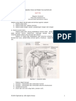 anatomi xyz.pdf