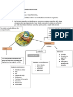 Repaso de Histologia Humana