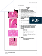 Histology FMS 3-Lengkap