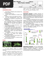Aula Reino Plantae - Resumo Briófitas.doc