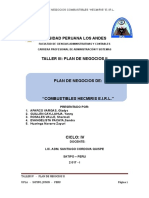 PLAN DE NEGOCIOS II UPLA 1.doc