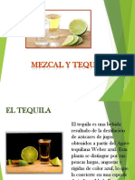 Tequila y Mezcal en México