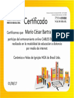 Certificado Cables de Encendido