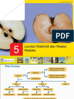 Bab 5 Larutan Elektrolit Dan Reaksi Redoks