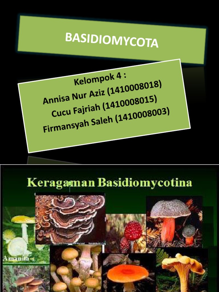 Basidiomycota OK | PDF | Griya & Taman | Sains & Matematika