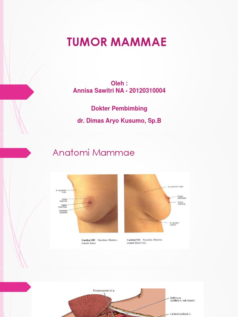 Bst 1 Tumor Mammae