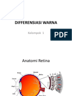 DIFERENSIASI WARNA RETINA