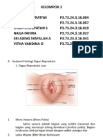 Kel 2 Konsep Terjadinya Kehamilan