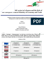 SME Lebanon PDF