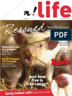 Viva Life Magazine Issue 64