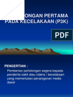 P3K.pdf