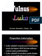 vulnus.pdf