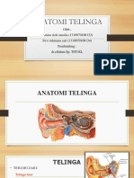 Anatomi Telinga