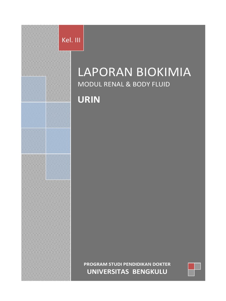Analisis Urin: Volume, pH, dan Indikan | PDF