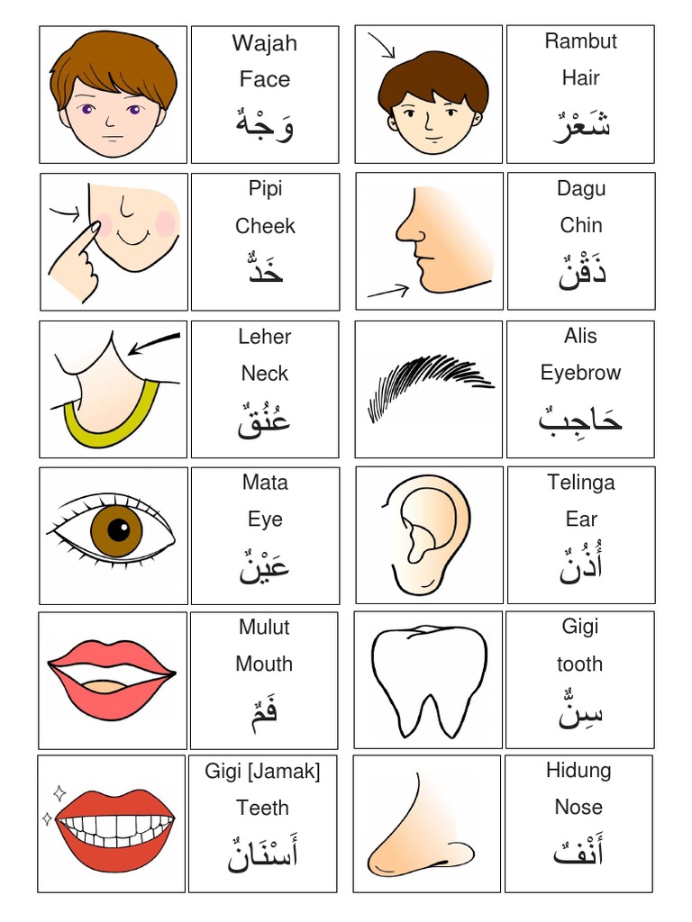 Alat Tubuh Bahasa Arab Part 1 Pdf