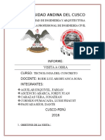 Informe Visita A Obra - Semestre III