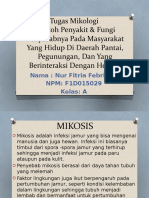 Tugas Mikologi Contoh Penyakit & Fungi Penyebabnya Pada Masyarakat Yang Hidup Di Daerah Pantai, Pegunungan, Dan Yang Berinteraksi Dengan Hewan