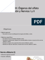 ORGANO_DEL_OLFATO_Y_VISION_Y_NERVIOS_I_Y_II.pdf