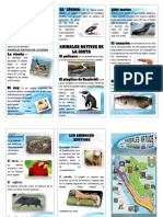 Triptico Animales Nativos y Exoticos Del Peru PDF