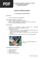 Cirurgias Do Abdome (Celiotomia)