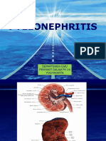 Pyelonephritis: Departemen Ilmu Penyakit Dalam FK Uii Yogyakarta