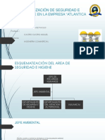 Organización de Seguridad e Higiene en La Empresa