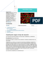 Metabolismo Celular