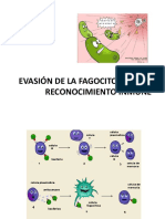 Evasión de La Fagocitosis y Del Reconocimiento Inmune