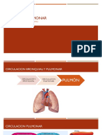 Perfusión Pulmonar