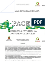 PDF Proyecto Pace-Pes 15-16