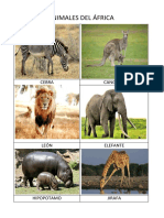 Animales de Africa