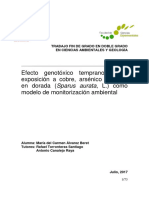 Ga Alvarezberet MC Efectogenotoxicotempranodelaexposicionacobreplomoarsenicoendoradacomomodelodemonitorizacionambiental .PDF