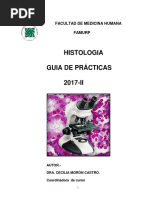 Guia de Practicas 2017-II