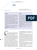 Caries Radicular PDF
