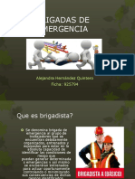 Brigadas de Emergencia